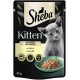 Sheba Kitten-Futterbeutel mit einem grauen Kätzchen mit grünen Augen, beschriftet mit "In Sauce mit Huhn" auf einem grünen Teller, 85g.