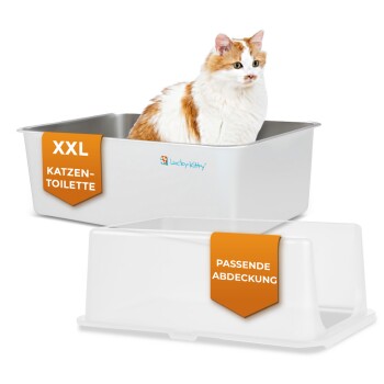 Weiß-orange Katze in einer weißen XXL-Katzentoilette mit passender Abdeckung; Beschriftungen: 'XXL KATZEN-TOILETTE' und 'PASSENDE ABDECKUNG'.
