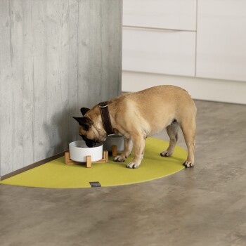 Ein tanfarbener Französischer Bulldogge mit einem braunen Halsband frisst aus einer weißen Schüssel auf einem Holzständer, der auf einer leuchtend gelben Matte in einer modernen Küche platziert ist.