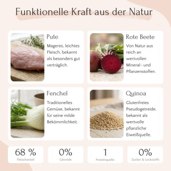 Dosen-Hundefutter mit der Aufschrift "Pute" mit Quinoa, Rote Beete und Fenchel, mit Nährwertinformationen und Fütterungshinweisen an der Seite.