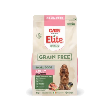 Gain Elite Grain Free dog food for small dogs, 2kg bag, featuring salmon, with labels for adult nutrition and hypoallergenic benefits.