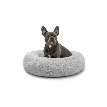 Donutbett hellgrau XL Ein grauer Französischer Bulldogge, die bequem in einem plüschigen, runden grauen Hundebett auf einem weißen Hintergrund sitzt.