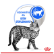 Eine gefleckte Katze steht seitlich auf einem weißen Hintergrund mit polnischem Text, der sagt "geeignet für kastrierte Katzen."