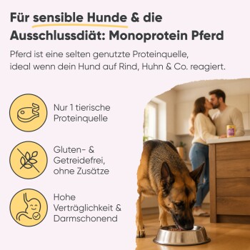 Dosen-Hundefutter "Pferd und Pastinake" von Milo & Mia, mit einem Cartoon-Hund, frischem Fleisch, Pastinakenstücken und Gesundheitsversprechen.