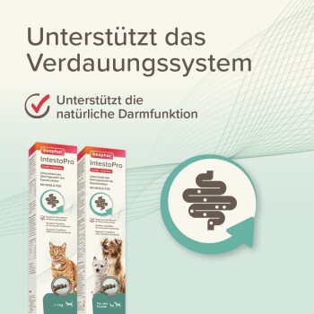 Beaphar IntestoPro Verpackung für Haustiere, mit einer Illustration von Katze und Hund, die die Verdauungsgesundheit mit MOS & FOS fördert.