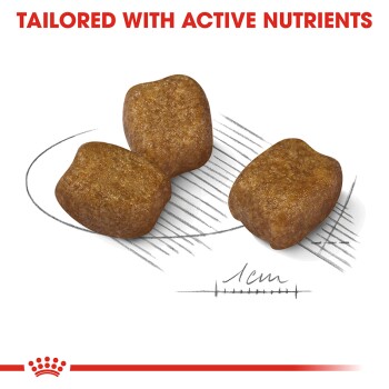 Three brown pet food kibble pieces are displayed on a sketched background, with the text "TAILORED WITH ACTIVE NUTRIENTS" above.
