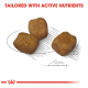 Three brown pet food kibble pieces are displayed on a sketched background, with the text "TAILORED WITH ACTIVE NUTRIENTS" above.