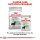 Image of Royal Canin's Canine Care Nutrition: "Digestive Care MINI" dry food bag and "Digestive Care ALL SIZES" wet food pouch.