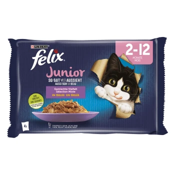 Junior Vielfalt Gelée 12x85g Die Verpackung von Felix Junior Katzenfutter zeigt eine verspielte schwarz-weiße Katze, die durch einen Riss schaut, mit einer Schüssel und "gemischte Auswahl in Gelee."