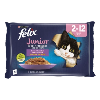 Die Verpackung von Felix Junior Katzenfutter zeigt eine verspielte schwarz-weiße Katze, die durch einen Riss schaut, mit einer Schüssel und "gemischte Auswahl in Gelee."