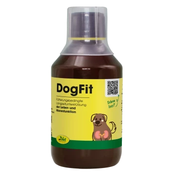 Flasche cdVet DogFit, ein natürliches Gesundheits-Supplement für Hunde, mit einem grünen und gelben Etikett mit "100% NATUR" und einem Nieren-Symbol.