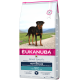 Eukanuba Rasse-spezifisches Rottweiler Hundefutterbeutel, mit einem Rottweiler auf der Vorderseite, gekennzeichnet als Premium-Trockenfutter für Erwachsene, 12 kg.