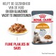 Royal Canin Hair & Skin kattenvoer zakje met een bord natvoer, met tekst over huidgezondheid en verbetering van de vachtkwaliteit.