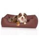 Ein glücklicher Australian Shepherd liegt in einem braunen Hundebett mit schwarzem Rand, mit einem kleinen Logo, das 'KNUFFELWUFF' liest.