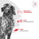 Zwart-wit hondenportret met labels: REGULATIE BLOEDSUIKER; LAAG ZETMEELGEHALTE; HOOG EIWITGEHALTE; Veterinaire voeding.
