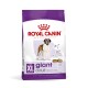 Sac de nourriture pour chien Royal Canin XL Giant Adult avec un Saint-Bernard, mettant l'accent sur "Articulations saines" pour les chiens de plus de 45 kg.