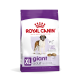 Royal Canin XL Giant Adult Hundefuttertüte mit einem Bernhardiner, der "Gesunde Gelenke" für Hunde über 45 kg betont.