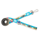 Blaue und beige Hundeleine mit bunten Surfbrett-Mustern und Metallkarabiner, beschriftet mit "Max & Molly Urban Pets".