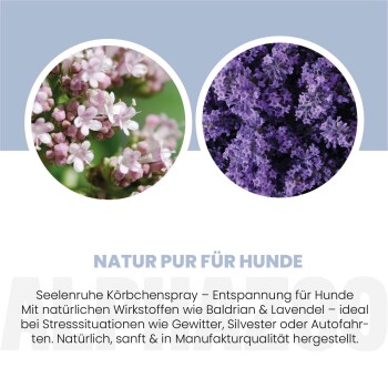 Glücklicher Hund mit herausgestreckter Zunge, 4,8/5 Sterne Bewertung, 7.191 Bewertungen. Text: "Beruhigt unsere Hündin super bei einer längeren Autofahrt." - Alexandra P.