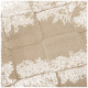 Nahaufnahme einer weichen beigen Haustierdecke mit einem karierten Muster aus plüschigen Quadraten.