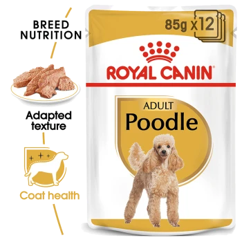 Royal Canin Adult Poodle dog food packaging, featuring a golden label, images of dog food, and icons for breed nutrition and coat health.