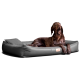 Ein brauner Hund, der auf einem grauen Haustierbett entspannt liegt und mit einem entspannten Ausdruck nach oben schaut. Das Bett hat ein kleines Logo-Tag.