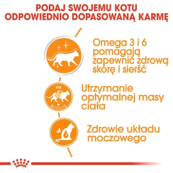 Infografika promująca korzyści z karmy dla kotów: Omega 3 i 6 dla zdrowia skóry i sierści, utrzymanie optymalnej wagi ciała oraz zdrowia dróg moczowych.