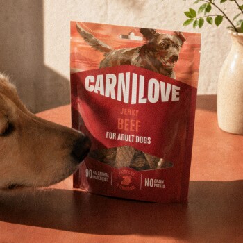 Sachet rouge CARNILOVE de jerky de bœuf pour chiens adultes posé sur une table avec un chien qui le renifle ; textes visibles « CARNILOVE », « Beef », « For Adult Dogs ».
