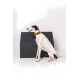 Ein schlanker, weißer und schwarzer Hund sitzt neben einem grauen Haustierbett, trägt ein leuchtend gelbes Halsband, vor einem schlichten weißen Hintergrund.