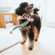 Hundespielzeug Rio 26 cm