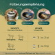 „Fütterungsempfehlung“-Fütterungsanleitung; Schritte „Öffnen, Vermengen, Vermischen“; Messlöffel: 1 (≈25 g) oder 2 (≈50 g).