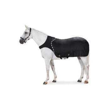 Ein weißes Pferd, das eine schwarze Pferde-Decke mit weißen Nähten trägt, auf einem weißen Hintergrund stehend.
