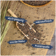 Eine Holzschaufel hält braune Haustierfutterpellets auf Jute, mit Etiketten für "Ergänzungsmittel", "nährstoffreich", "aus der Natur" und "Proteinquelle."
