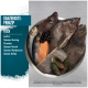Eine Schüssel mit ganzem Lachs, Hering, Flunder, Hecht, Rotbarsch und Scholle, mit Brombeeren und Text über Fischarten und Proteinquellen.