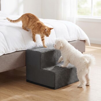 Weißer, flauschiger kleiner Hund steigt eine graue Haustiertreppe mit zwei Stufen hinauf, während eine orangegetigerte Katze vom Bett hinunterreicht in einem hellen Schlafzimmer.