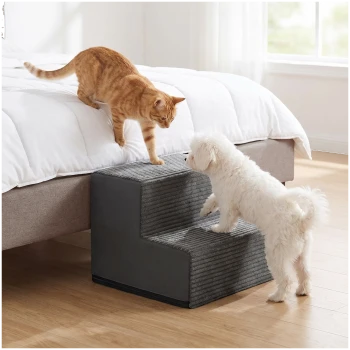 Weißer, flauschiger kleiner Hund steigt eine graue Haustiertreppe mit zwei Stufen hinauf, während eine orangegetigerte Katze vom Bett hinunterreicht in einem hellen Schlafzimmer.