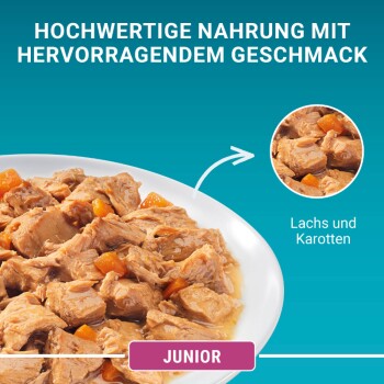 Hochwertige Hundenahrung mit Lachs und Karotten, präsentiert auf einem weißen Teller, mit dem Text 'Junior' in lila.