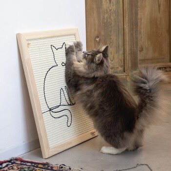 Puszysty szary kot drapiący zamontowaną na ścianie deskę do drapania z minimalistycznym wzorem konturu kota.