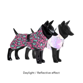 Zwei schwarze Hundemaniken tragen bunte Haustiermäntel: einer im pink-grünen Leopardenmuster und der andere aus reflektierendem Material.