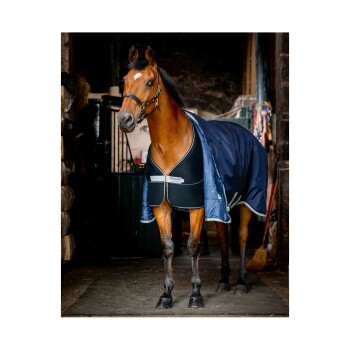 Ein braunes Pferd, das eine schwarze und blaue Decke trägt, steht in einem Stall und schaut direkt in die Kamera.