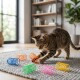 Tabby cat batting colorful coil spring toys (blue, orange, green, pink, yellow) on a gray rug in a living room.