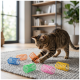 Getigerte Katze spielt mit bunten Spiral-Feder-Spielzeugen (Blau, Orange, Grün, Rosa, Gelb) auf einem grauen Teppich in einem Wohnzimmer.