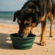 Schwarz-brauner Hund trinkt Wasser aus einem grünen zusammenklappbaren Napf an einem sandigen Strand mit Meer im Hintergrund.