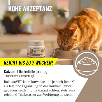 Eine getigerte Katze frisst aus einer silbernen Schüssel, mit einem Textfeld, das besagt: "Fütterungsempfehlung: 1 gehäufter Dosierlöffel pro Tag. Einfach ins Futter geben."