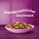 Schüssel mit Haustierfutter, gefüllt mit verschiedenen Kibble-Formen und -Farben, mit dem Text "unwiderstehlicher Geschmack" auf lila Hintergrund.