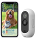 Ein Smartphone, das einen glücklichen Golden Retriever und eine Katze vor einem grasbewachsenen Hintergrund zeigt, neben einer weißen Haustierkamera mit einem Reset-Knopf.