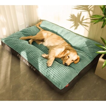 Ein Golden Retriever liegt bequem auf einem plüschigen türkisfarbenen Haustierbett mit der Aufschrift "PET HEAVEN", umgeben von natürlichem Licht und Grün.