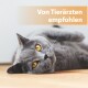 Eine Nahaufnahme einer grauen Katze mit auffälligen gelben Augen, die auf einem Holzboden liegt, begleitet von dem Text "Von Tierärzten empfohlen" in der Ecke.