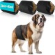 Ein Bernhardiner-Hund, der eine blaue Haustierwindel trägt, steht vor drei Windeloptionen: blau, grün und schwarz, beschriftet mit "3er-Set."