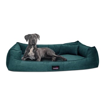 ® BRUCE VELOURS Orthopädisches Hundebett Soft petrol 1,3 m, 25 cm, 1 m